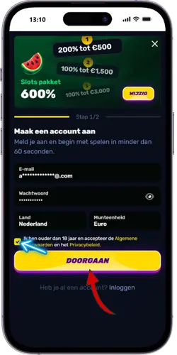 Wino Casino Voorwaarden en het privacybeleid